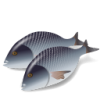 Công Ty CP ĐT TM Thủy Sản (Incomfish)